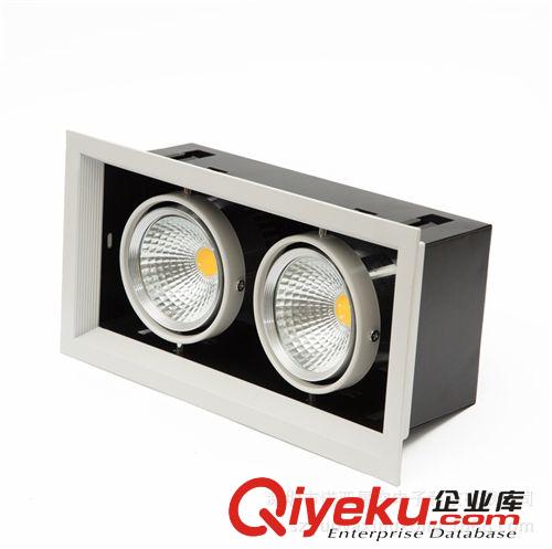 諾亞星空 LED射燈 廠家直銷tj 射燈 雙頭斗膽射燈（COB 2X10W)原始圖片3