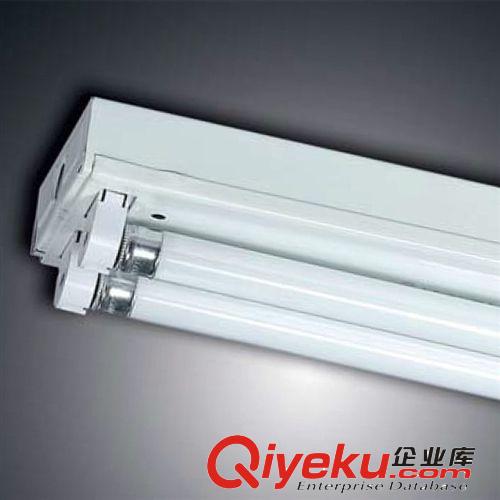T5雙管節(jié)能電子支架汾江MW17A-Y28W×2佛山照明zptj批發(fā)原始圖片2