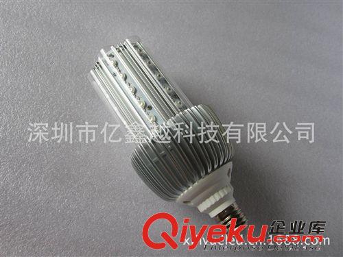 大功率LED燈珠SMD玉米燈30W  LED庭院燈360度發(fā)光30*1W