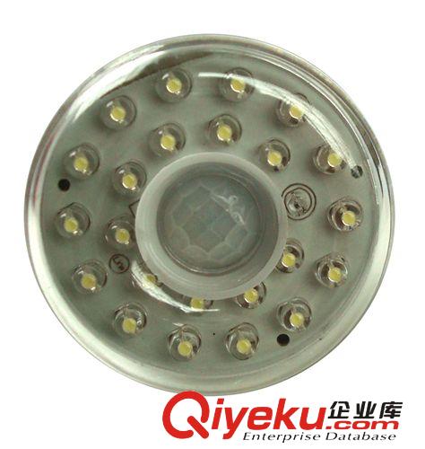 新款可調(diào)角度,LED帶插頭軟管人體感應(yīng)燈,紅外感應(yīng)燈原始圖片2