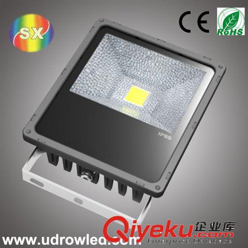 LED泛光燈  大功率LED燈泛光燈 50W