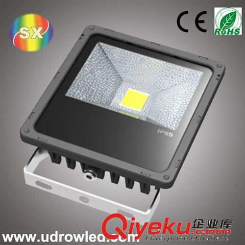 直銷供應 30W LED優(yōu)質防眩泛光燈  防眩應急泛光燈 室外照明燈具