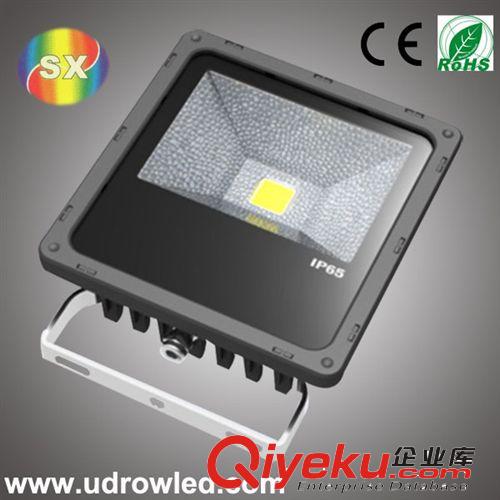 直銷供應 30W LED優(yōu)質防眩泛光燈  防眩應急泛光燈 室外照明燈具