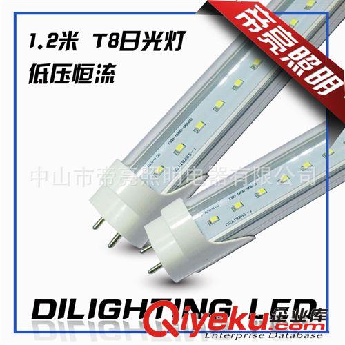 低压12V/24V T8日光灯 高亮2835 1.2米 20W led灯管 led Tube