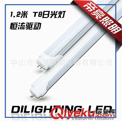 出口LED灯管高压T8 2835 96珠 18W 1.2米 高亮恒流 LED日光灯管