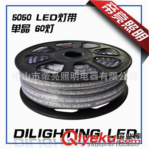 出口LED燈帶RGB七彩5050寬板高亮LED strip 防水IP65 110V220V