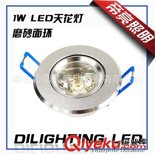 【帝亮】LED射燈 1W0.5W天花燈 筒燈 客廳燈 大功率 110V-240V