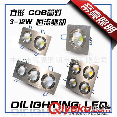 【帝亮】led天花COB面光源射燈單頭雙頭三頭四頭3W6W9W12W110v