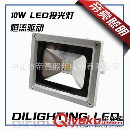 【帝亮】LED集成投光燈射燈戶外廣告燈景觀燈工程燈10W110V-240V