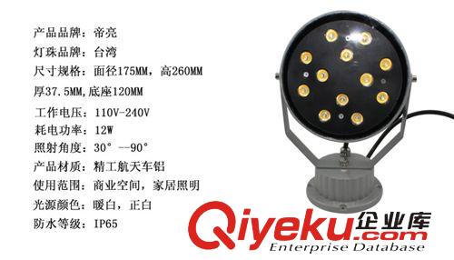 【帝亮】LED小太陽投光燈戶外廣告燈景觀燈工程燈12W110V-240V