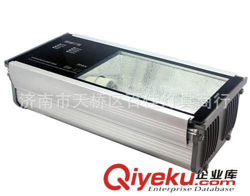 飛利浦陶瓷金鹵燈，路燈專用陶瓷金鹵燈，CPO-TW140W/728金鹵燈