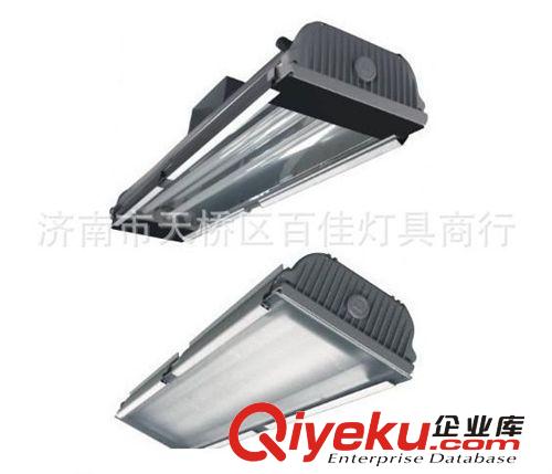 ZQ109隧道燈，亞明58w隧道燈，2*58w雙管熒光隧道燈，熒光隧道燈原始圖片3