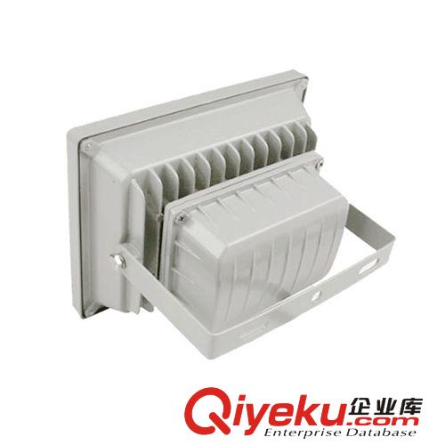 蘇州彩琳瑯led投光燈30w 招牌燈 大功率泛光燈 戶外廣告燈