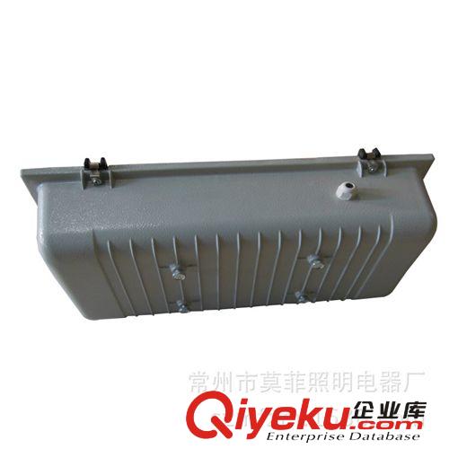 廠家直銷(xiāo)  高品質(zhì)隧道燈150-400W