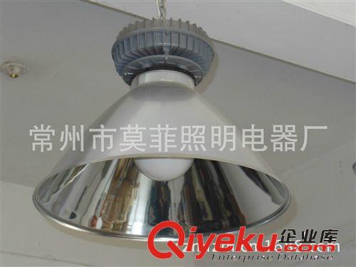 廠家直銷   高品質(zhì)gc101高頻無極燈  壽命60000小時(shí)原始圖片2