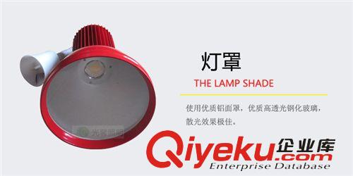 LED超市燈生鮮燈30W LED工礦燈水果燈蔬菜燈餐吊燈商場(chǎng)燈豬肉燈原始圖片3