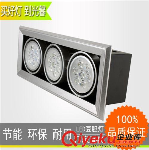led斗膽燈雙頭射燈led豆膽燈 led射燈天花燈筒燈 led格柵燈