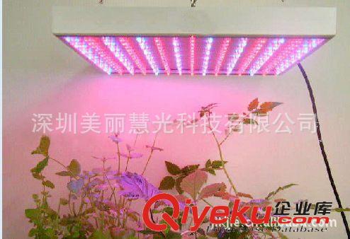 LED植物生長燈14W  led植物補光燈 LED植物補光燈  led植物燈