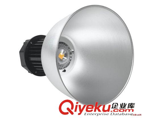 LED隧道燈100W 新款大角度戶外燈 廣告燈 廠房燈