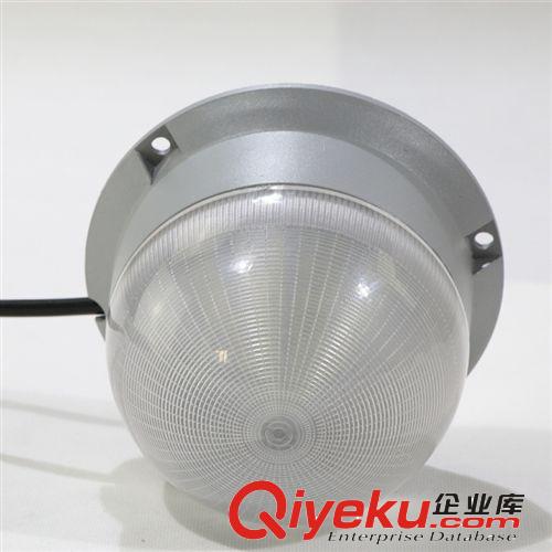 供应5050点光源 6W LED景观亮化灯具厂家直销