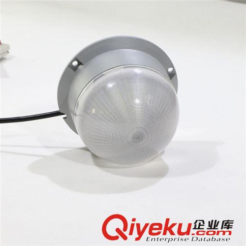 供应5050点光源 6W LED景观亮化灯具厂家直销