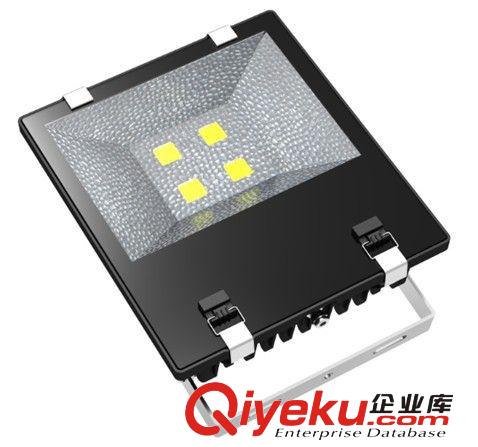 供應(yīng)LED10W可調(diào)光泛光燈