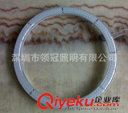 廠家專業(yè)生產(chǎn)375MM LED環(huán)形燈管原始圖片3