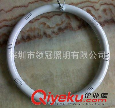 廠家供應g10q led圓燈22w、22wled環形燈管、led圓形燈管375mm