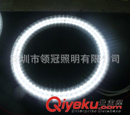 廠家直銷375MM G10Q LED環(huán)形燈管、替代傳統(tǒng)40W環(huán)形燈管 PSE認證