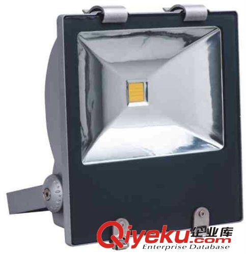 LED30W高桿燈投光燈泛光燈球場燈