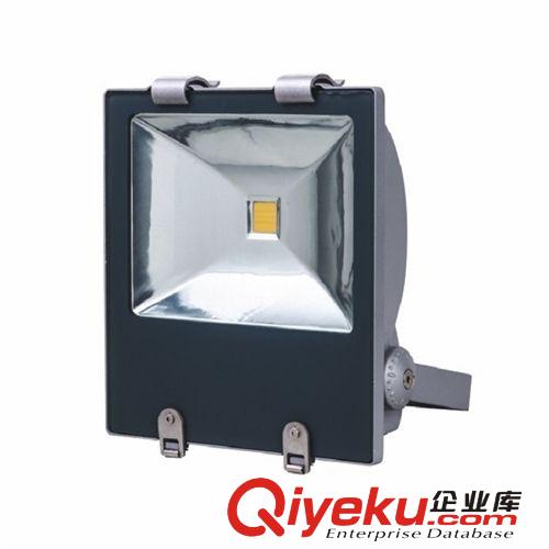 LED30W高桿燈投光燈泛光燈球場燈