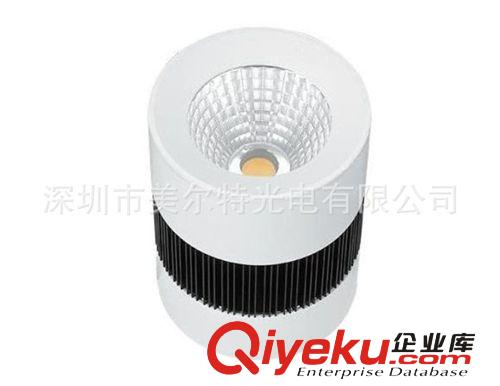 美爾特 現貨批發(fā) 20W明裝筒燈 cob明裝筒燈 夏普芯片 質保三年原始圖片2