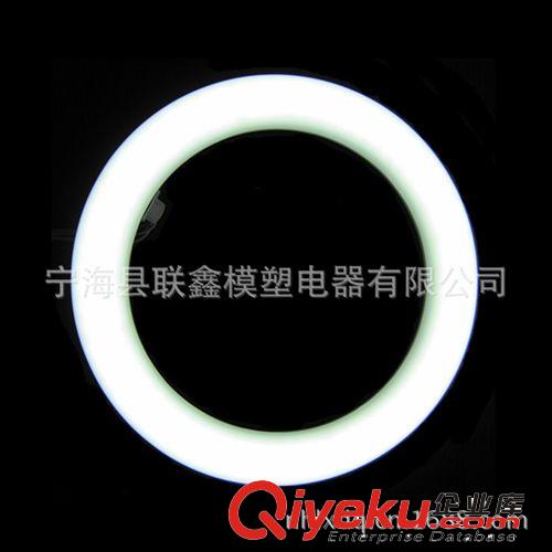 廠家熱銷日本 T9 205*30mm 環(huán)形燈管原始圖片2