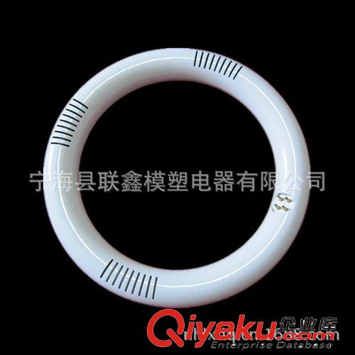LED環(huán)形燈 led圓形燈 T9圓形燈 LED吸頂燈 尺寸29*225mm 12W原始圖片3