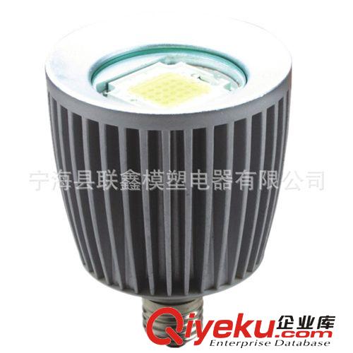 廠家開模直銷20W LEDPAR30 E27燈頭 LED射燈