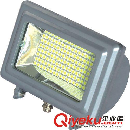 廠家直銷：LED 投光燈， LED 路燈， LED 泛光燈 80W