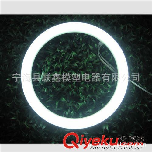 廠家開模直銷g10q環形燈 20W