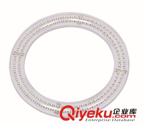 低價(jià)供 led環(huán)形燈管 圓形燈管  13W/225MM 塑料環(huán)形燈管原始圖片2