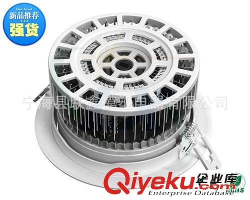 廠家直銷：15W LED天花燈、筒燈、射燈原始圖片2