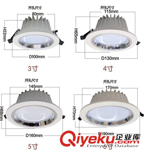 筒燈 gd家庭 酒店 商場 超市專用 防霧 RISIP LED筒燈