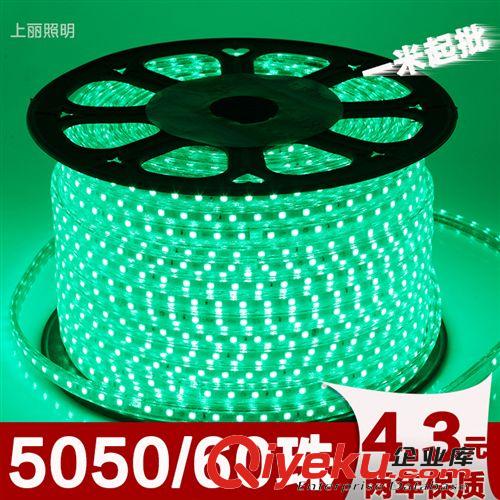 厂家批发220V高压 LED灯带 5050{zx1}款 縁色 60灯 LED软灯条