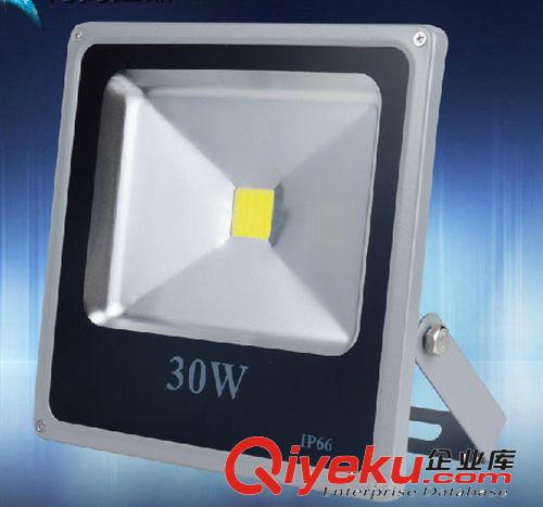 促銷款LED投光燈泛光燈路燈戶外招牌燈廣告投射10w20w30w50w防水