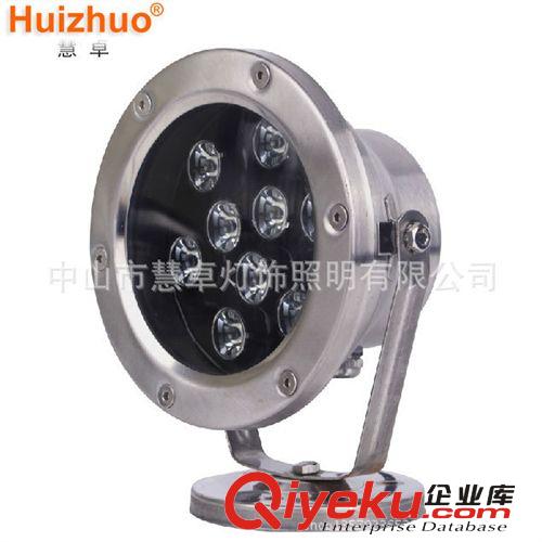 廠家直銷LED 3W 12W大功率戶外燈/水池/草地/橋梁透光照明 tj