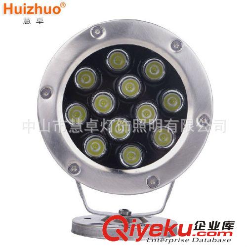 廠家直銷LED 3W 12W大功率戶外燈/水池/草地/橋梁透光照明 tj