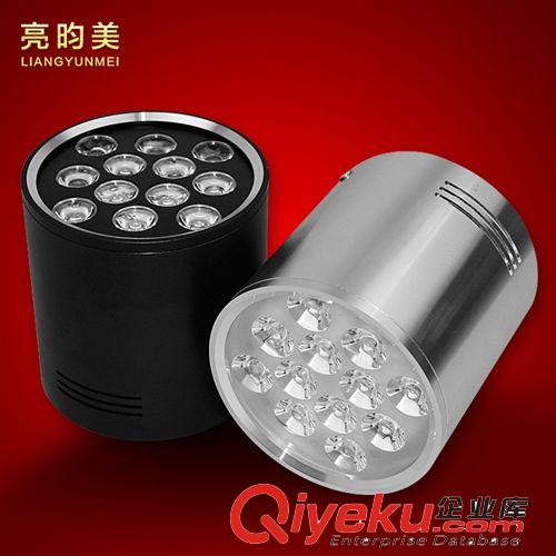 亮昀美 筒燈led 全套12w吊頂筒燈 明裝一體化節能燈具 TD018原始圖片2
