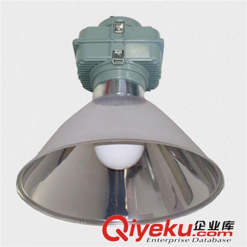 常州照明廠家直銷定制無極工礦燈 大功率無極燈工礦燈 環(huán)保工礦燈