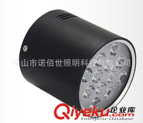 LED筒燈/12W大功率LED筒燈原始圖片2