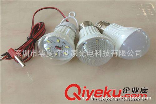 電瓶專用低壓12V5WLED球泡燈 12V LED塑料球泡燈 12V太陽能球泡燈