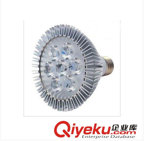 LED帕燈 Par30  LED燈泡38射燈 節(jié)能燈9W 12W Par30 par燈原始圖片2