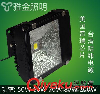 戶外照明 室外景觀照明燈具  LED投光燈C 100w120W150W